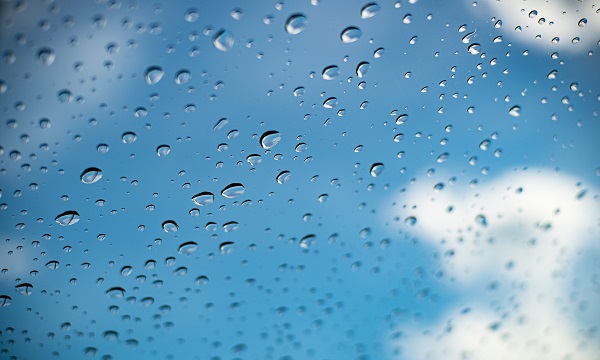 How music can rescue this weird summer